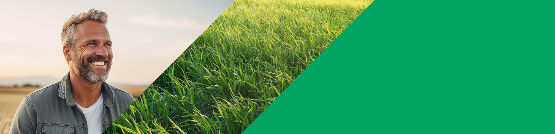 Do you have any questions for Rentenbank? Write to us using the online contact form.